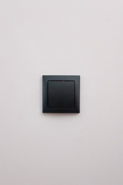 Berker-Anthrazit-Matt-S.1-Standard, Uncategorized, Anders Smart