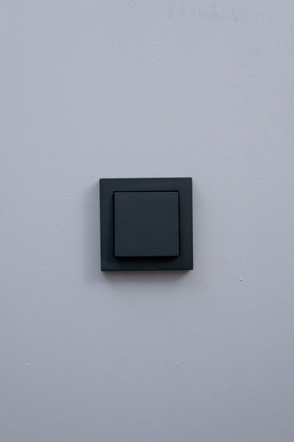 Gira-Anthrazit-Matt-E2-Standard, Uncategorized, Anders Smart