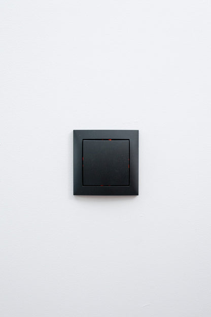 Berker-Anthrazit-Matt-S.1-Standard, Uncategorized, Anders Smart