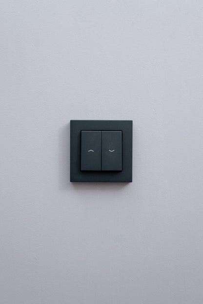 Jalousie-Analog-JUNG-Anthrazit-Matt-A550, Uncategorized, Anders Smart