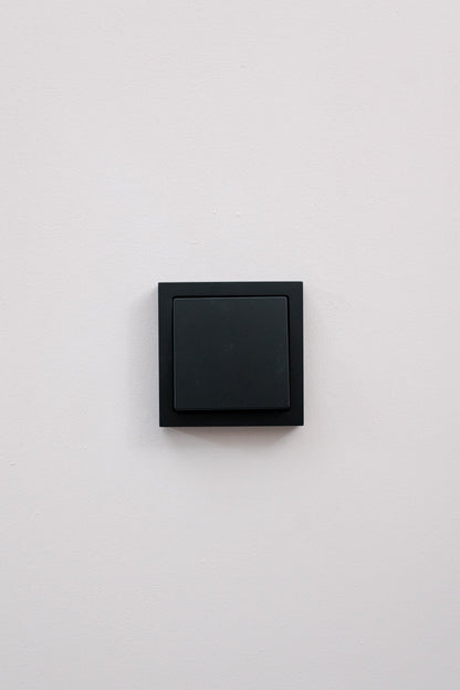 Busch Jaeger-Schwarz-Matt-Future Linear-Standard, Uncategorized, Anders Smart