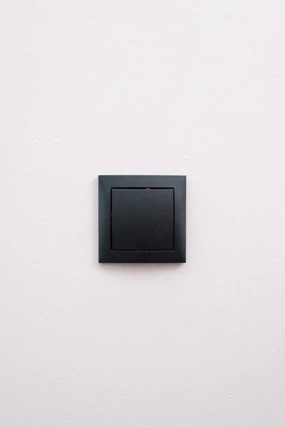 Berker-Anthrazit-Matt-S.1-Standard, Uncategorized, Anders Smart