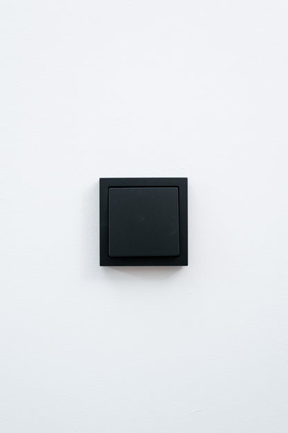 Busch Jaeger-Schwarz-Matt-Future Linear-Standard, Uncategorized, Anders Smart