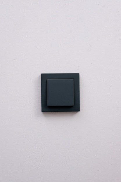 Gira-Anthrazit-Matt-E2-Standard, Uncategorized, Anders Smart