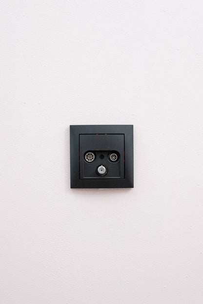 Berker-Anthrazit-Matt-S.1-Standard, Uncategorized, Anders Smart
