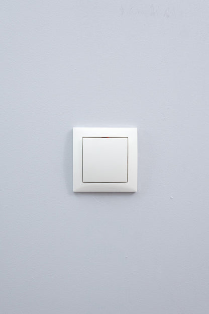 Berker-Polarweiß-Glänzend-S.1-Standard, Uncategorized, Anders Smart